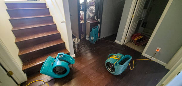 Best Flooded house restoration  in Prosper, TX