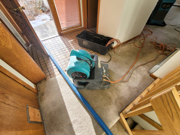 Professional Water damage restoration in Prosper, TX