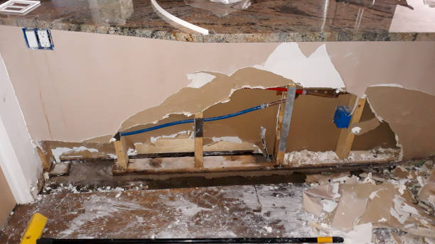 Best Water damage contractors near me  in Prosper, TX