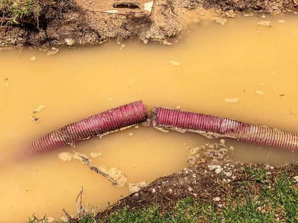 Best Water damage repair service  in Prosper, TX