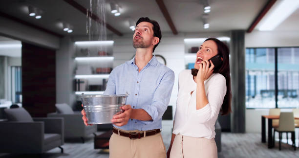 Best Water damage contractors near me  in Prosper, TX