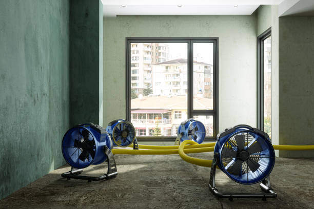 Best Water damage restoration experts  in Prosper, TX